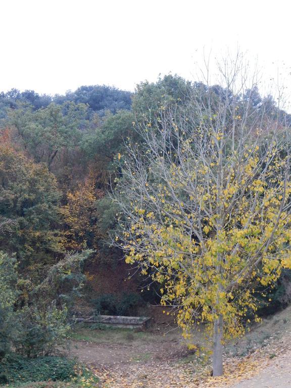 Casa Canut